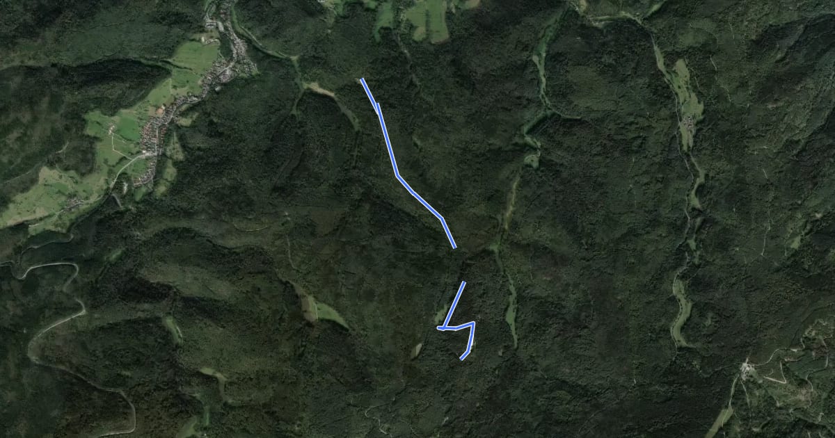 Маршрут Bußackerhütte - Scherrhaldenkopf на спутниковом снимке