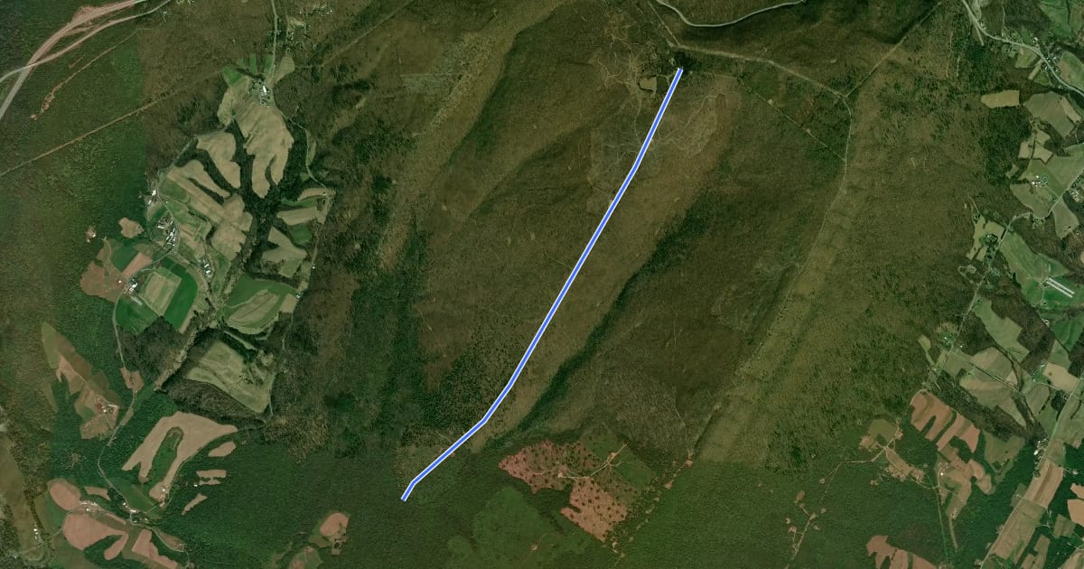 Маршрут Buchanan - Bald Hill на спутниковом снимке