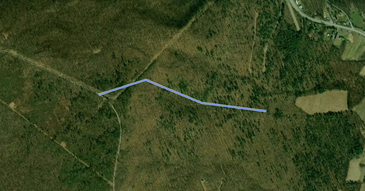 Маршрут Buchanan - Ensley Trail на спутниковом снимке