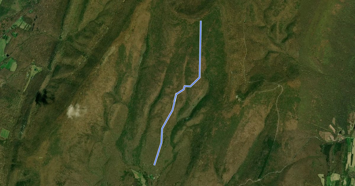 Маршрут Buchanan Forest - Bear Gap на спутниковом снимке