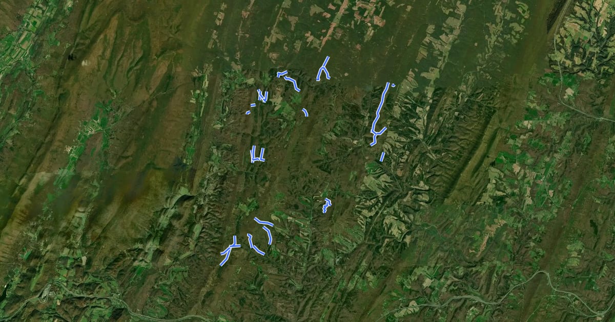 Маршрут Buchanan Forest - Pine Ridge на спутниковом снимке