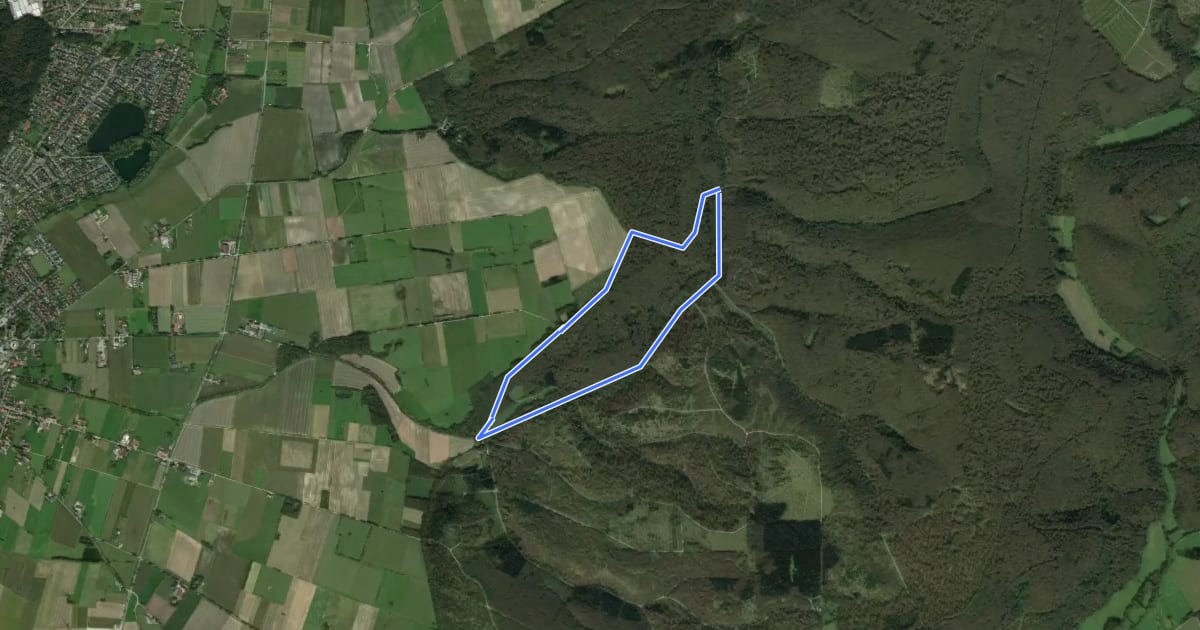 Маршрут Buchen-Wildnis-Pfad (Naturerbe Wanderwelt Altenbeken) на спутниковом снимке