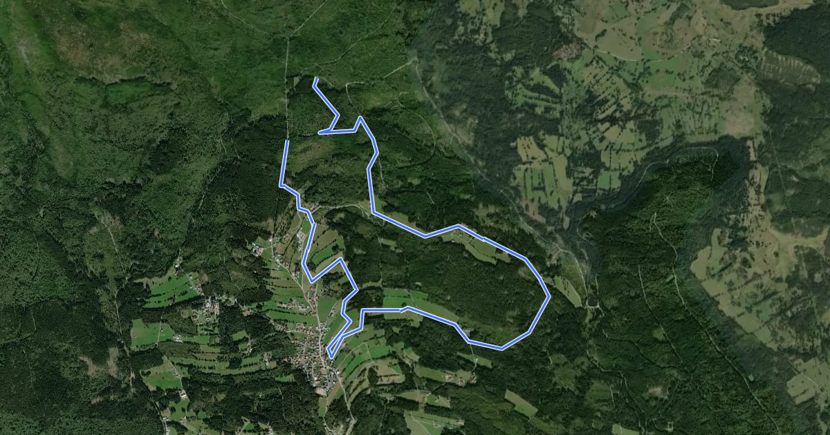 Маршрут Buchwaldloipe на спутниковом снимке