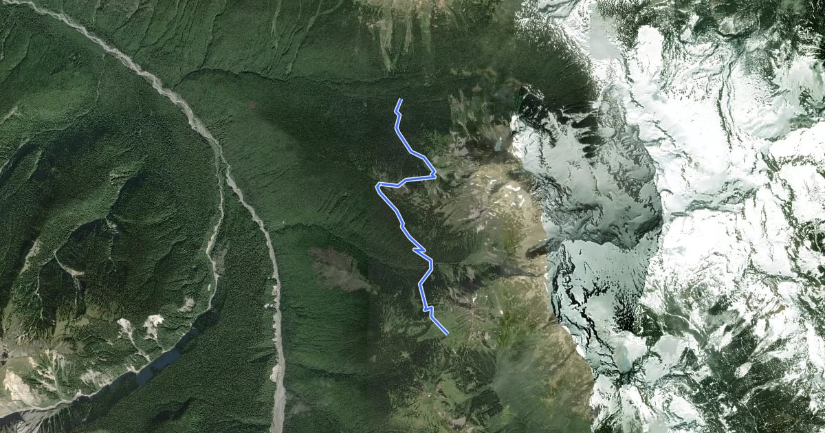 Маршрут Buck Creek Pass Trail на спутниковом снимке