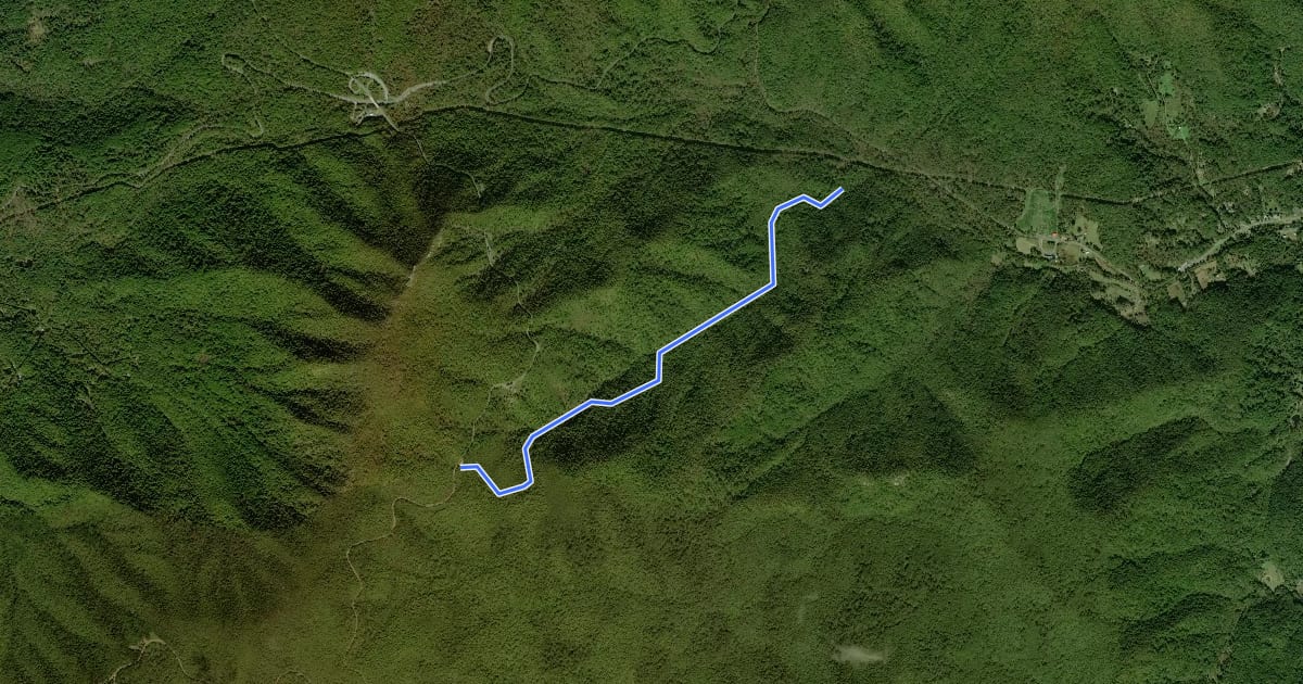 Маршрут Buck Hollow Trail на спутниковом снимке