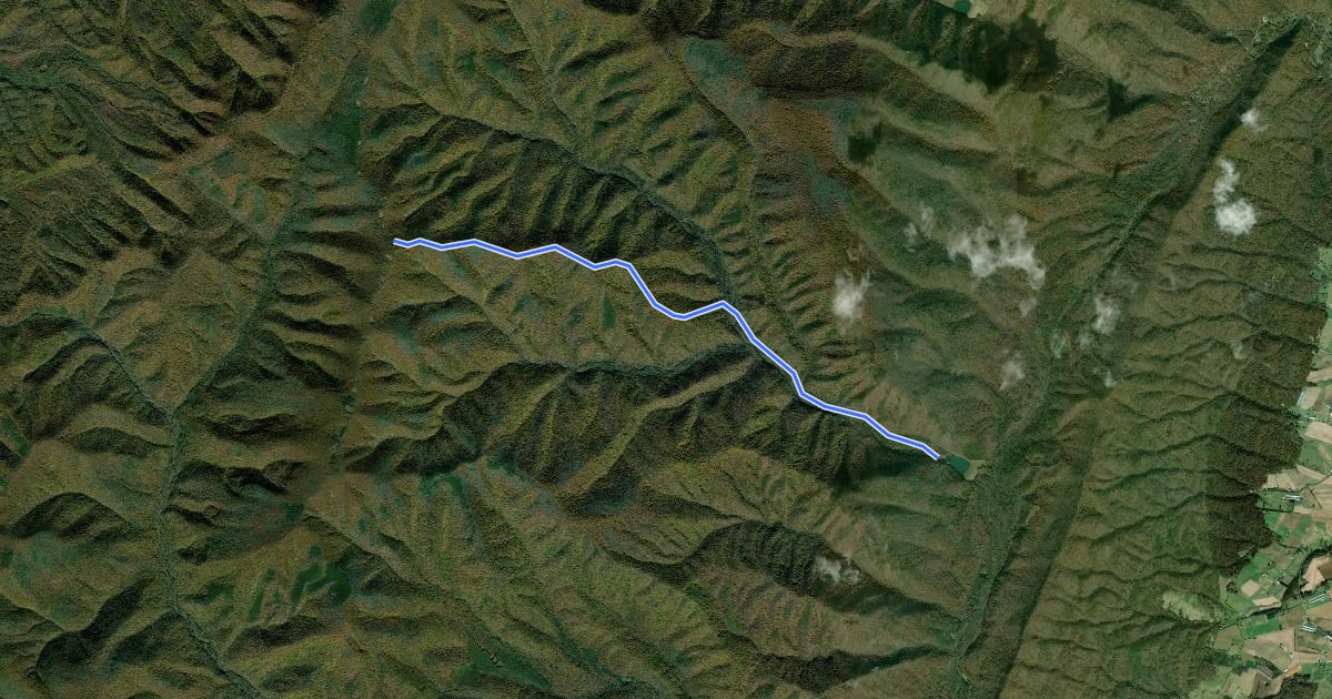 Маршрут Buck Mountain Trail на спутниковом снимке