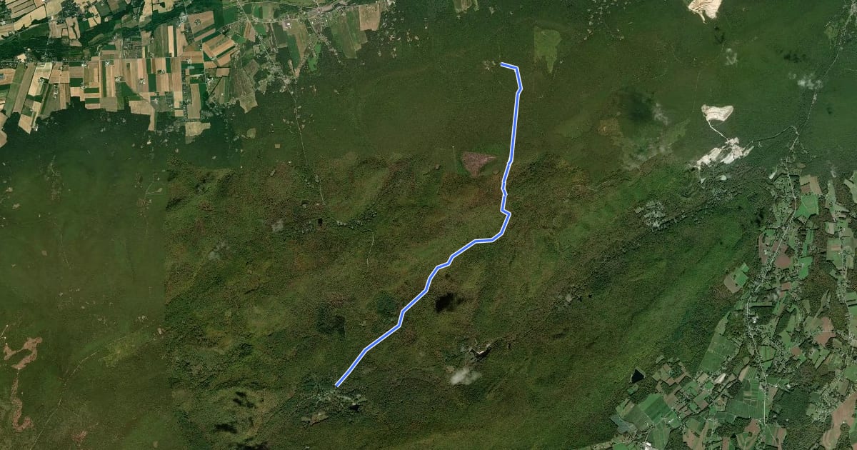 Маршрут Buck Ridge Trail на спутниковом снимке