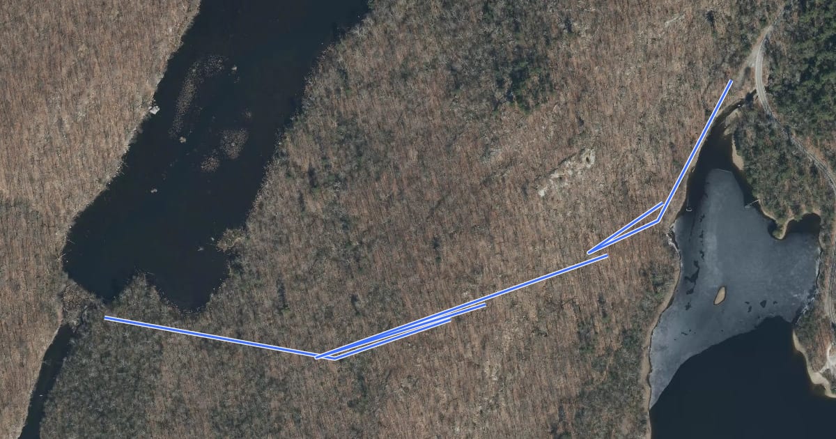 Маршрут Buckabear Pond Trail на спутниковом снимке