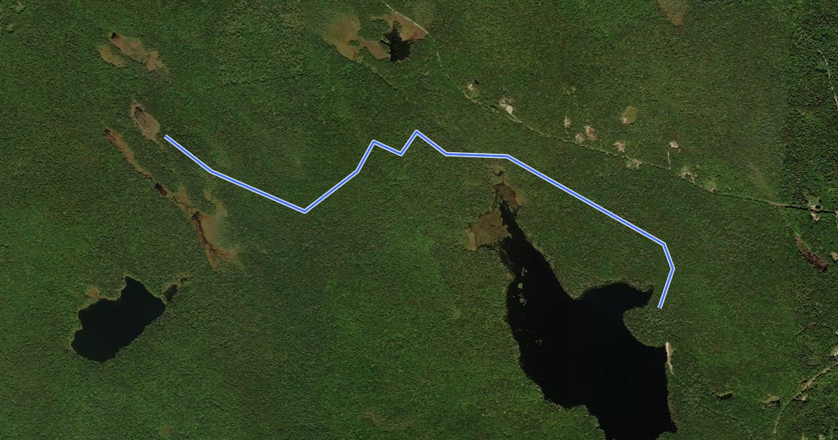 Маршрут Buckley Dunton Trail на спутниковом снимке