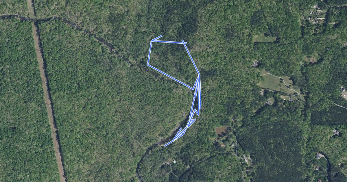 Маршрут Buckquarter Creek Trail на спутниковом снимке