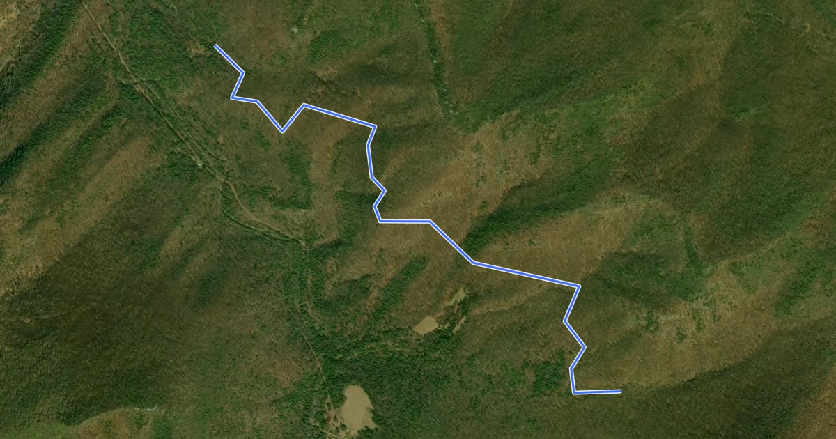 Маршрут Bucktail Cutoff Trail на спутниковом снимке