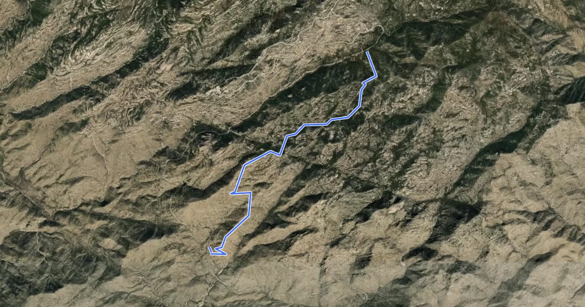 Маршрут Bug Springs Trail на спутниковом снимке