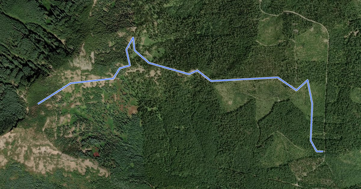 Маршрут Bugaboo Ridge Trail на спутниковом снимке