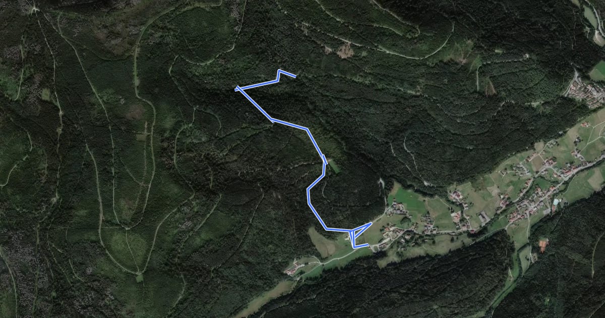 Маршрут Buhlbach-Trail на спутниковом снимке
