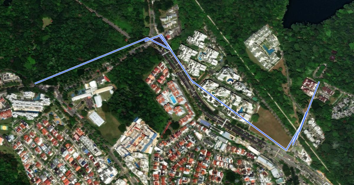 Маршрут Bukit Timah Park Connector на спутниковом снимке