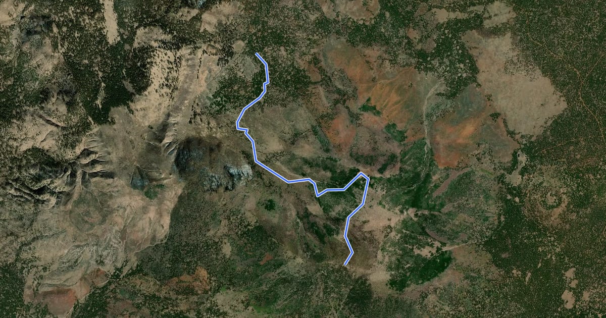 Маршрут Bull Basin Trail #40 на спутниковом снимке