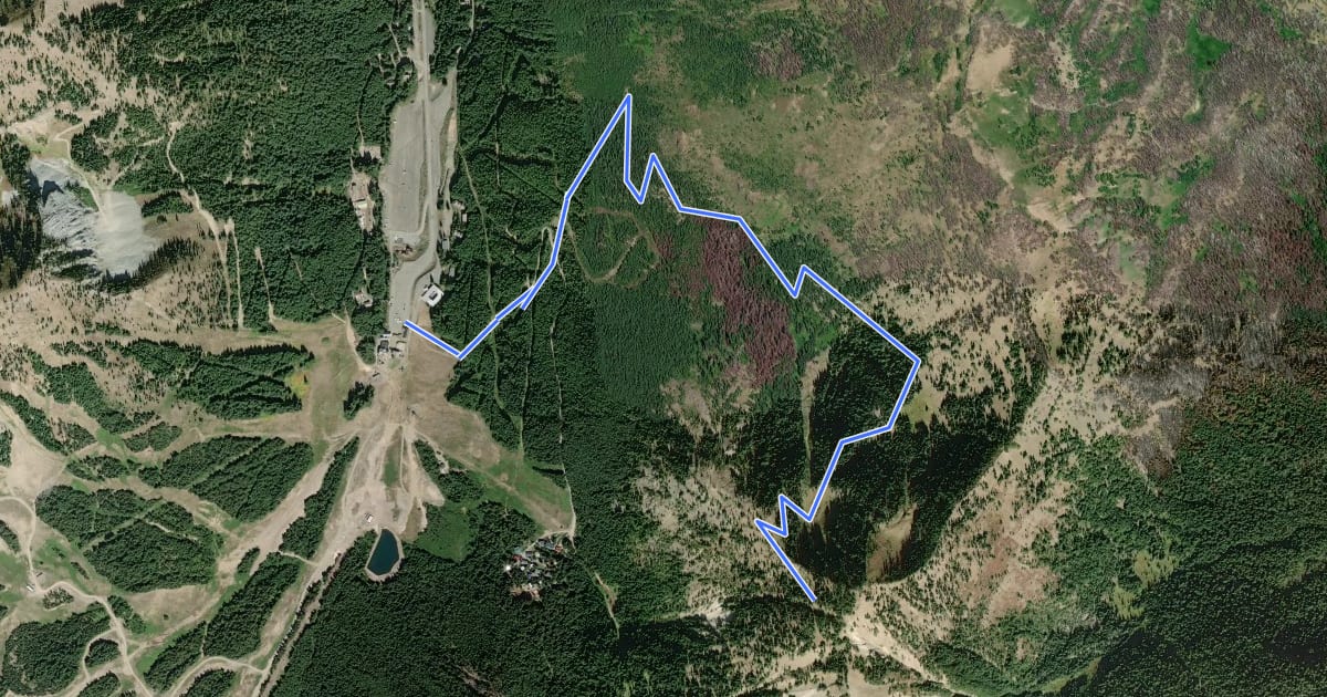 Маршрут Bullion Basin Trail на спутниковом снимке
