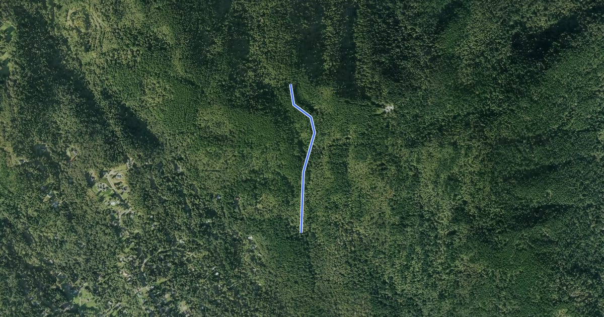 Маршрут Bullit Gorge Trail на спутниковом снимке