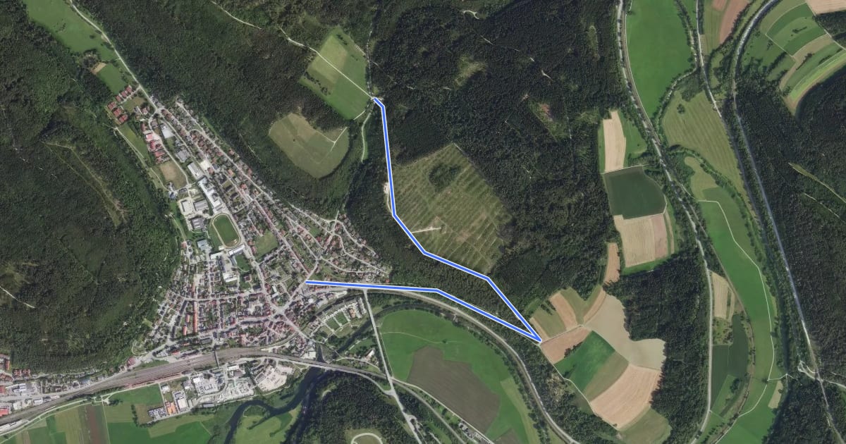 Маршрут Bumbishütte - Immendingen Hinterbirkenweg на спутниковом снимке