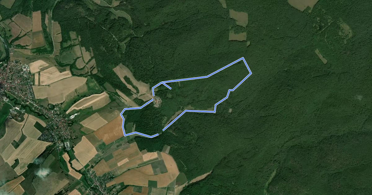 Маршрут Bummelkuppenweg на спутниковом снимке