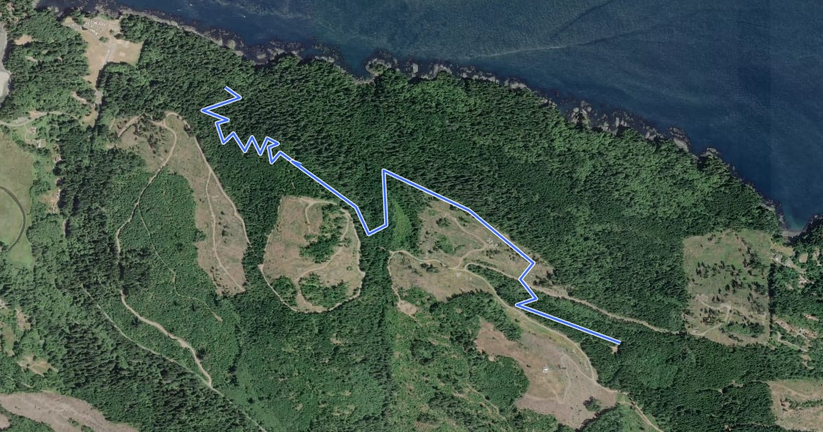 Маршрут Bunker Ridge Trail на спутниковом снимке