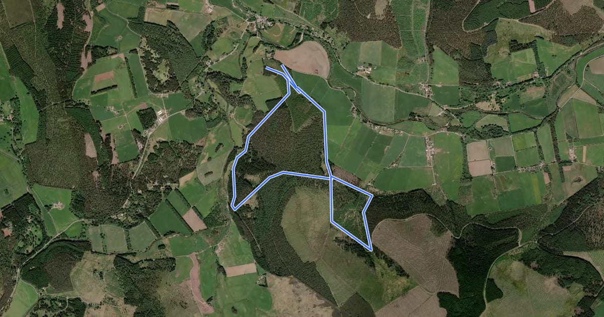 Маршрут Bunzeach Trail на спутниковом снимке