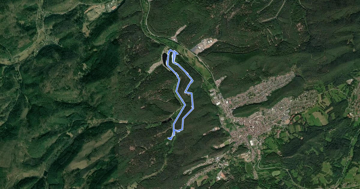 Маршрут Burg Neudahn-Tour на спутниковом снимке