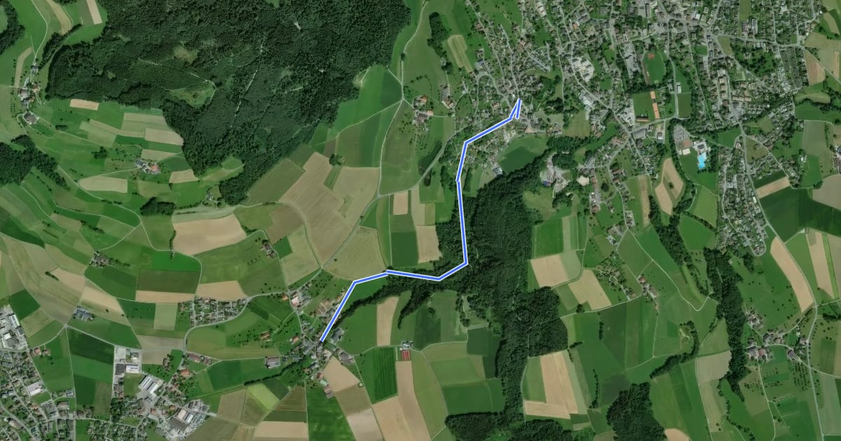 Маршрут Burg - Niederwil на спутниковом снимке