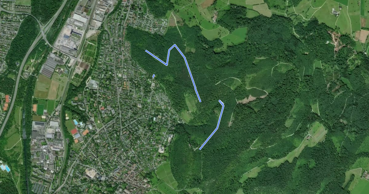 Маршрут Burg Reichenstein - Spitalholz - fixme на спутниковом снимке