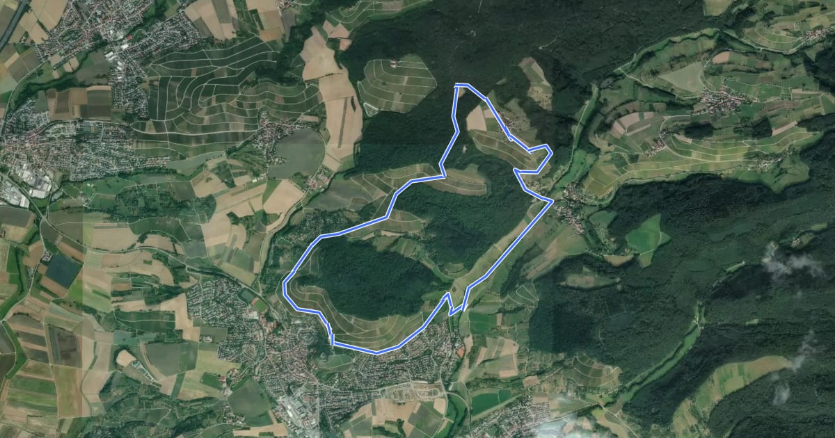 Маршрут Burgen, Falken und weite Wälder на спутниковом снимке