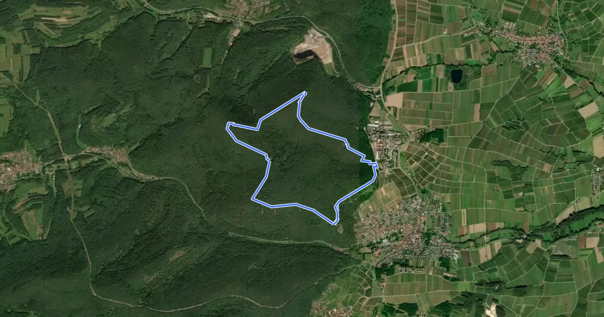 Маршрут Burgenweg (Klingenmünster) на спутниковом снимке