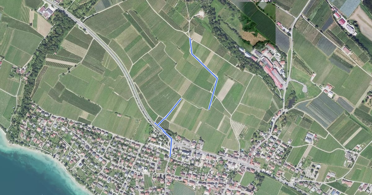 Маршрут Burgunderweg на спутниковом снимке