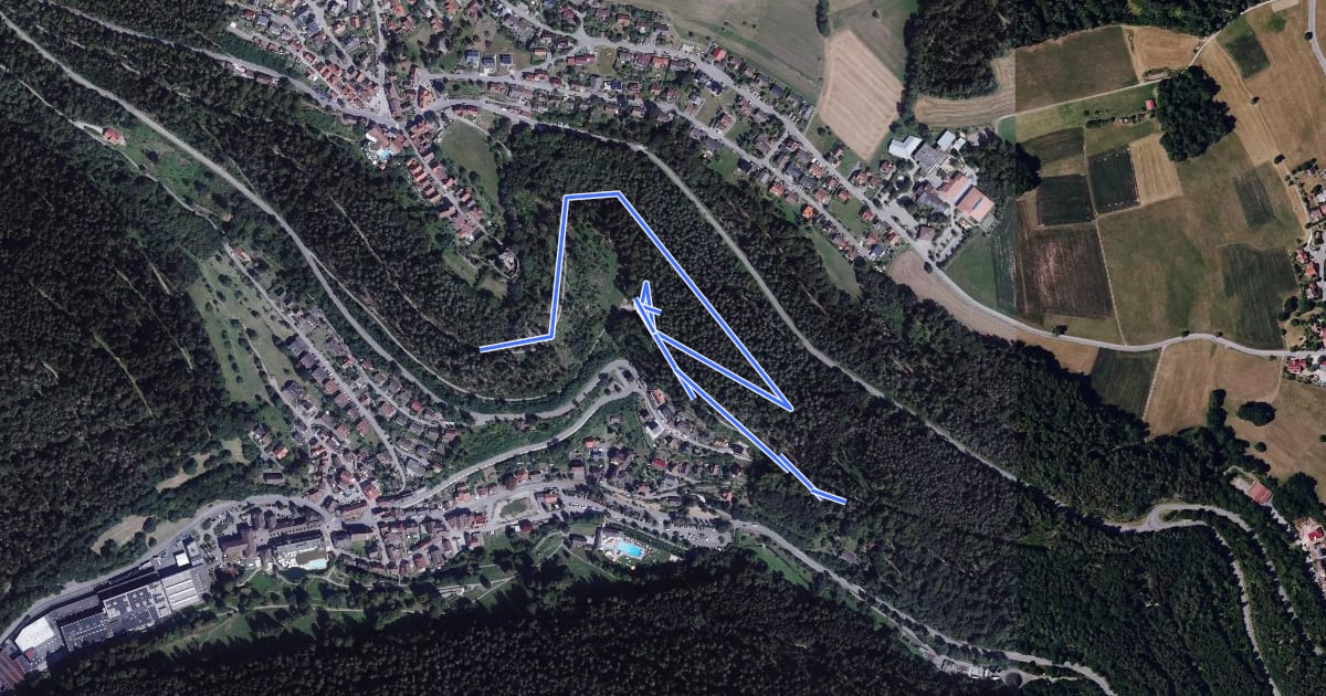 Маршрут Burgweg - Adolfshöhe на спутниковом снимке