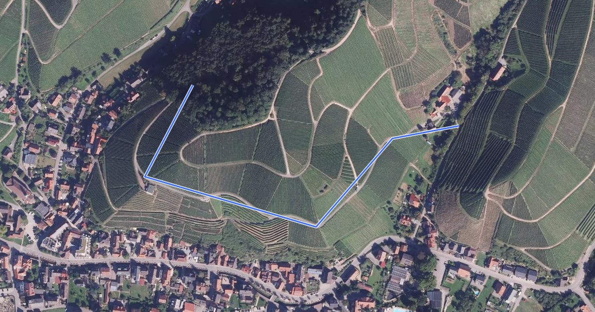 Маршрут Burgweg - Unterspring на спутниковом снимке