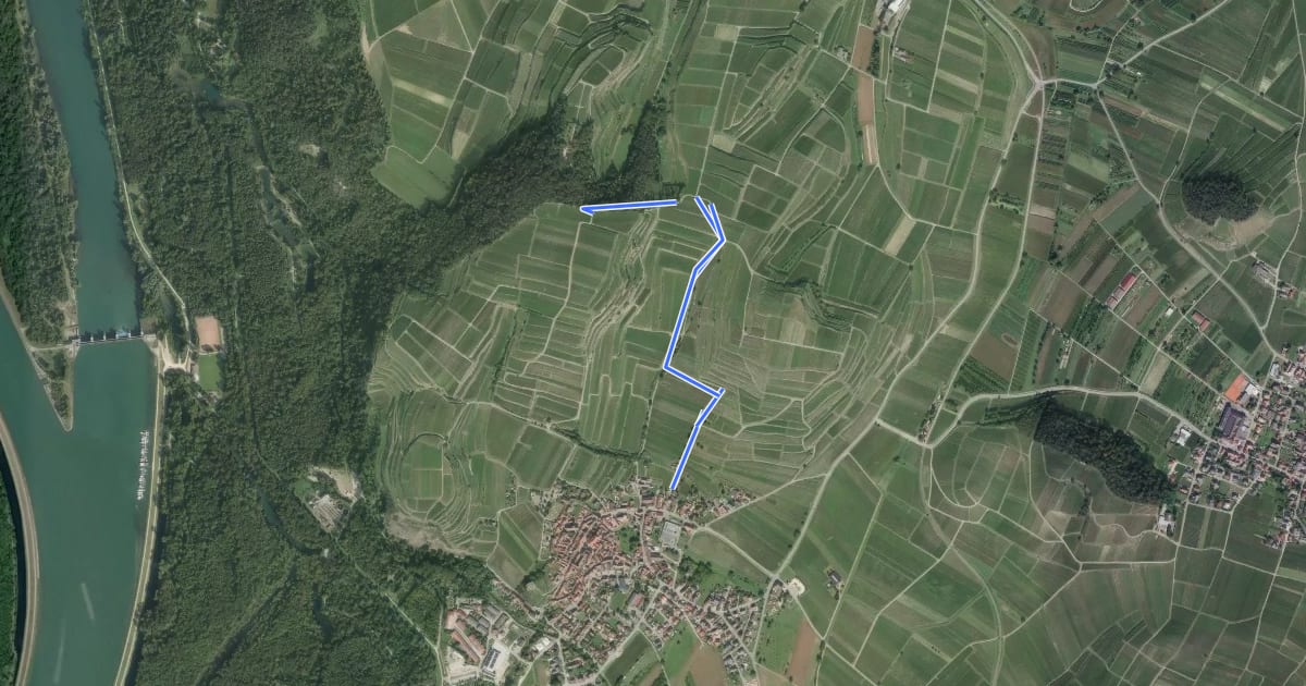 Маршрут Burkheim Winzergenossenschaft - Am Haberberg на спутниковом снимке