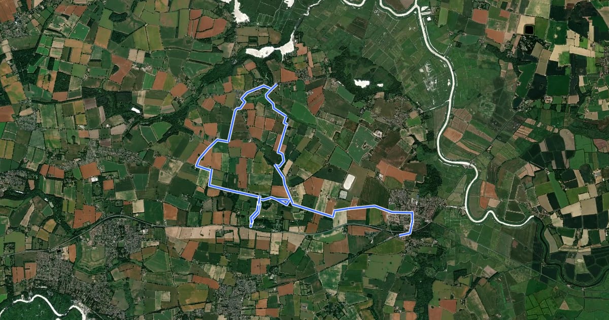 Маршрут Burlingham Wood Circular Walk на спутниковом снимке