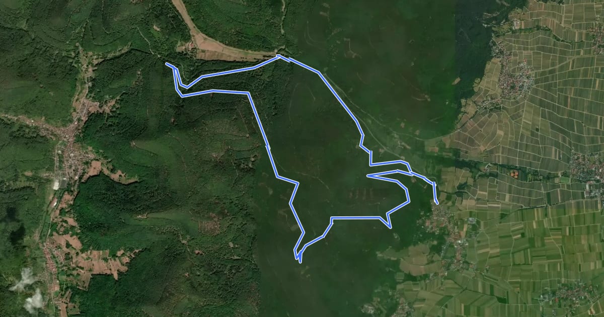 Маршрут Burri-Rundweg (groß) Burrweiler на спутниковом снимке