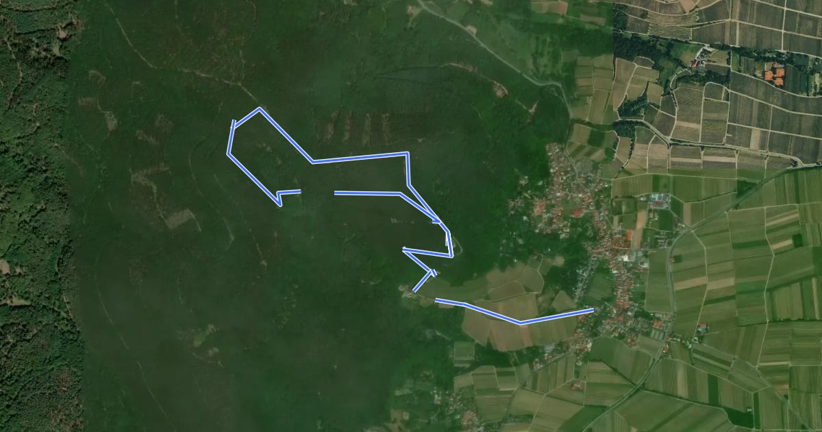 Маршрут Burri-Rundweg (klein) Burrweiler на спутниковом снимке