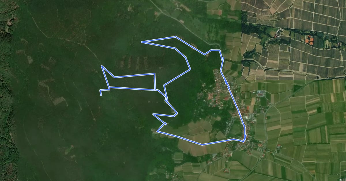 Маршрут Burri-Rundweg (mittel) Burrweiler на спутниковом снимке