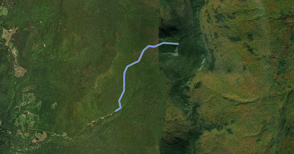 Маршрут Burrows Trail на спутниковом снимке