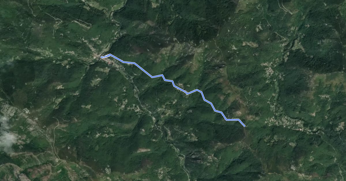 Маршрут Burzet - Col de Moucheyres на спутниковом снимке