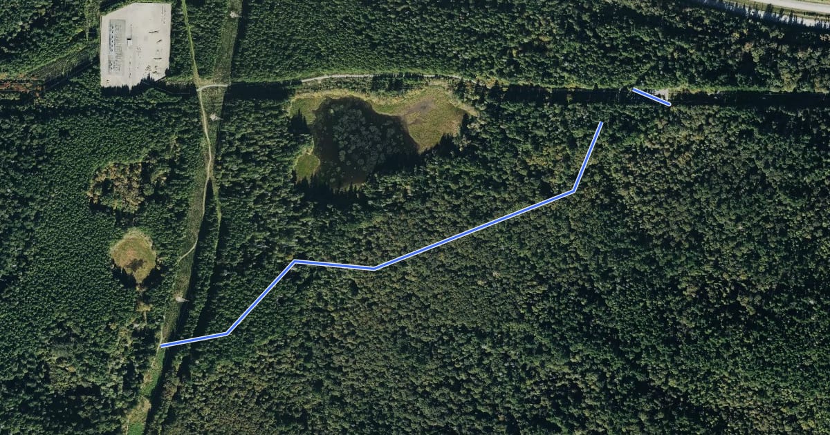 Маршрут Bus Trail на спутниковом снимке