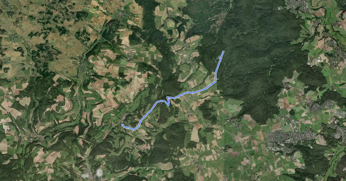 Маршрут Busbach--Waldhütte на спутниковом снимке