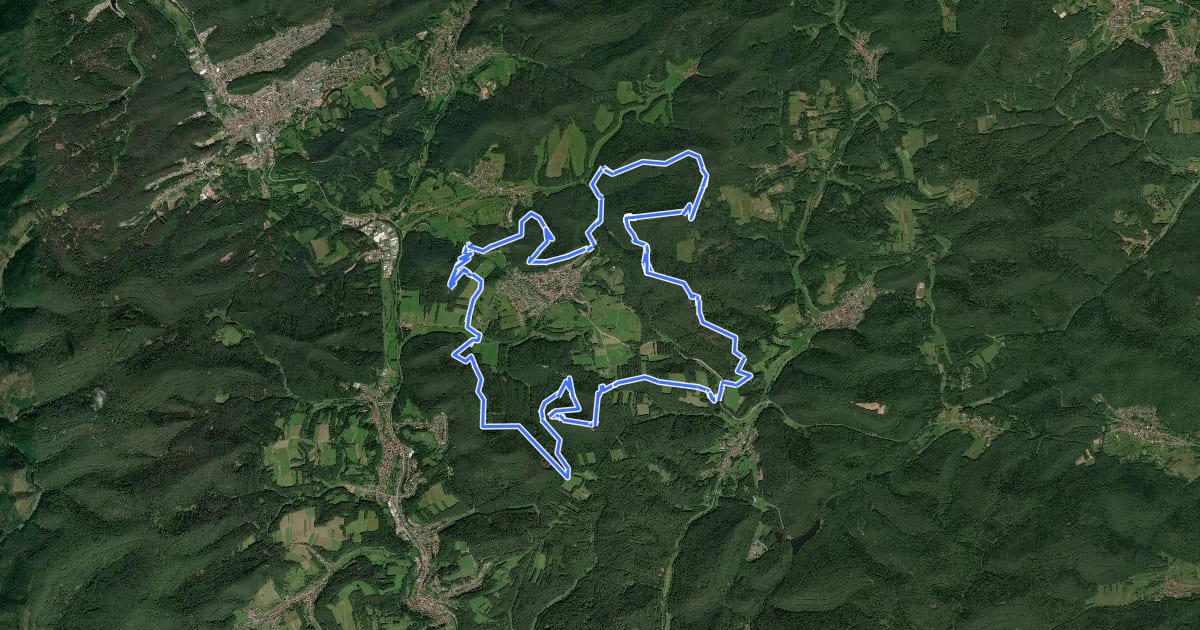 Маршрут Busenberger Holzschuhpfad на спутниковом снимке
