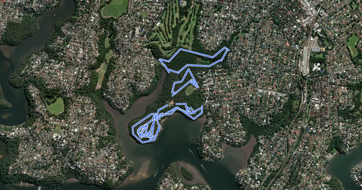 Маршрут Bush walks of Oatley Park на спутниковом снимке