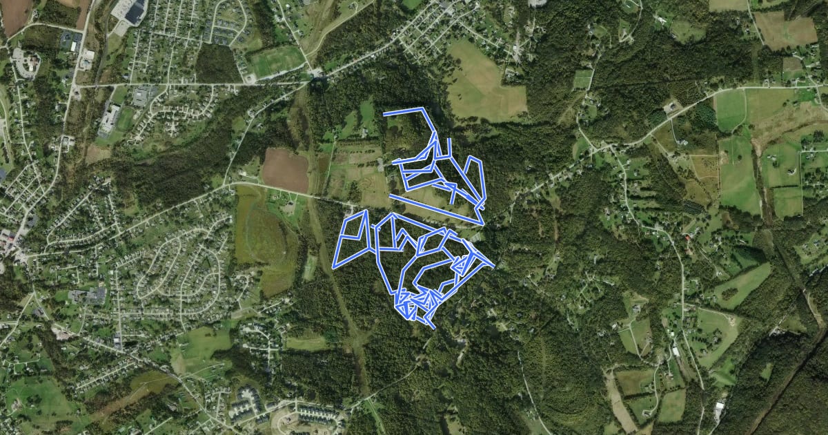 Маршрут Bushy Run Hiking Trails на спутниковом снимке
