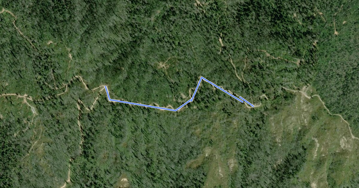 Маршрут Butano Fire Road на спутниковом снимке