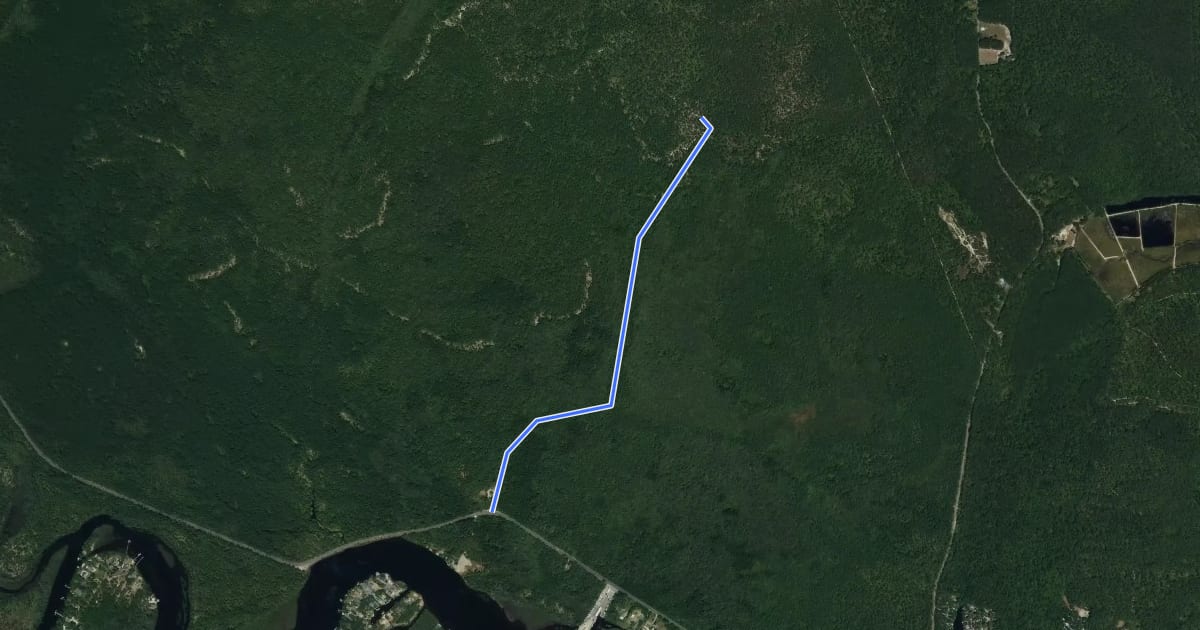 Маршрут Buttonwood Camp Connector Trail на спутниковом снимке