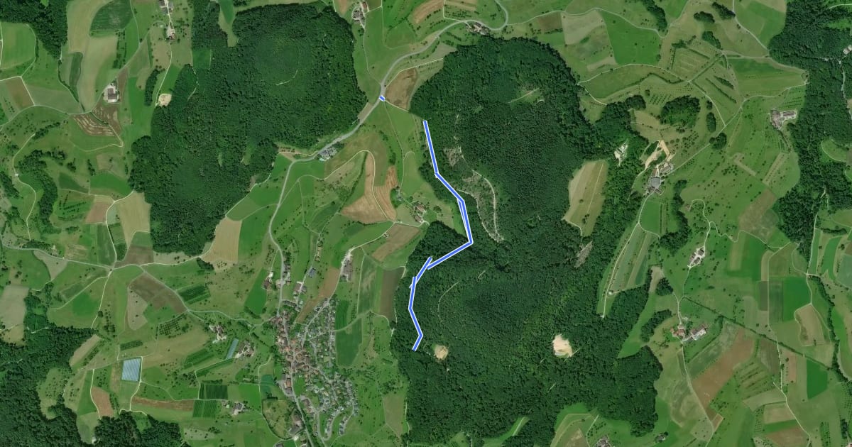 Маршрут Buuseregg - Farnsberg на спутниковом снимке