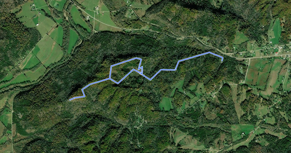 Маршрут Buzzardroost Rock Trail на спутниковом снимке